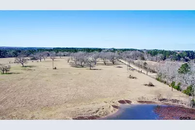 0 Hwy. 155 & Cr 435, Frankston, TX 75763 - Photo 11