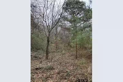 Tbd Fm 16, Lindale, TX 75771 - Photo 5