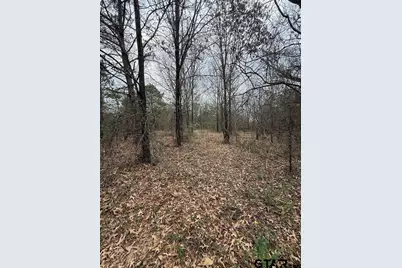 Tbd Fm 16, Lindale, TX 75771 - Photo 13