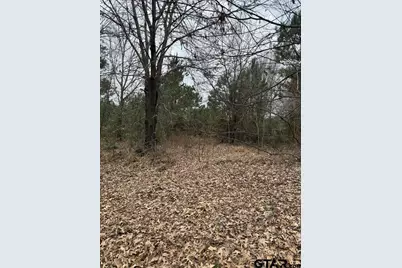 Tbd Fm 16, Lindale, TX 75771 - Photo 15