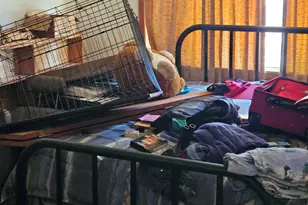 5542 FM 752, Rusk, TX 75785 - Photo 7