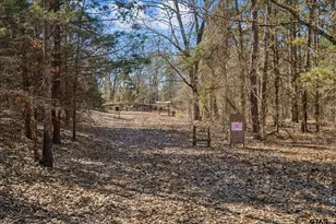 18621 County Rd 477, Lindale, TX 75771 - Photo 31