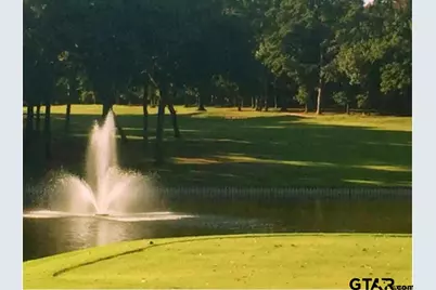 275 Wildwood Trail, Holly Lake Ranch, TX 75765 - Photo 25