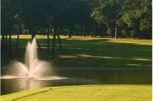 275 Wildwood Trail, Holly Lake Ranch, TX 75765 - Photo 25