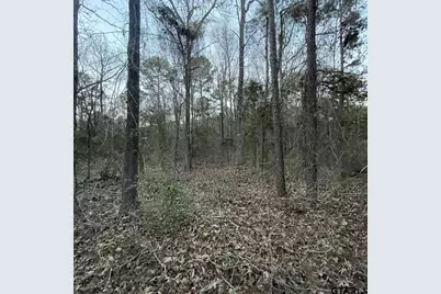 Tbd County Road 2182, Whitehouse, TX 75791 - Photo 7