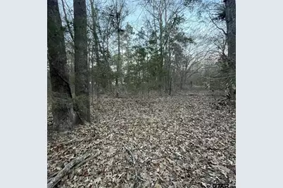 Tbd County Road 2182, Whitehouse, TX 75791 - Photo 17