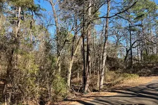 17323 Lakeview Dr, Flint, TX 75762 - Photo 43