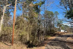 17323 Lakeview Dr, Flint, TX 75762 - Photo 41