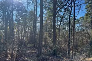 17323 Lakeview Dr, Flint, TX 75762 - Photo 45