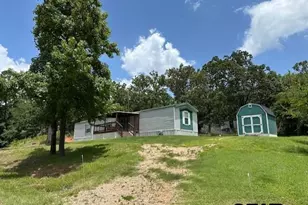 17323 Lakeview Dr, Flint, TX 75762 - Photo 3