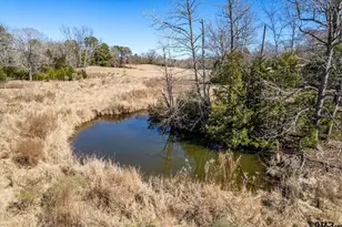 12095 Fm 317, Murchison, TX 75778 - Photo 31
