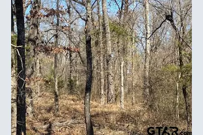4101 Cr 3703, Athens, TX 75752 - Photo 27