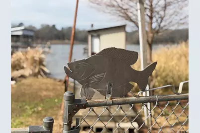 220 County Road 184, Carthage, TX 75633 - Photo 19