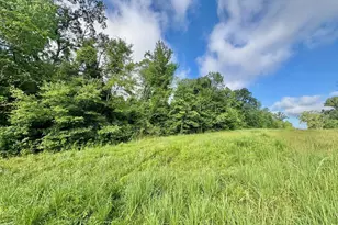 Tbd Cr 369, Winona, TX 75792 - Photo 1