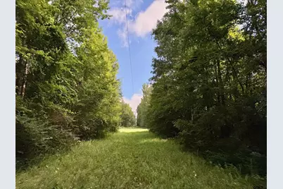 Tbd Cr 369, Winona, TX 75792 - Photo 3