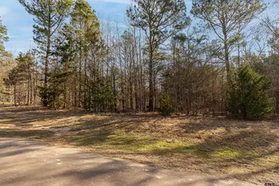 16682 County Road 367, Winona, TX 75792 - Photo 3
