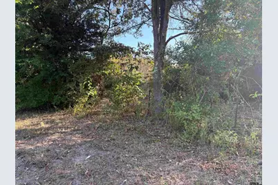 Tbd Fm 607, Brownsboro, TX 75756 - Photo 7