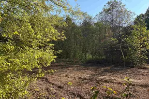 Tbd Fm 607, Brownsboro, TX 75756 - Photo 1