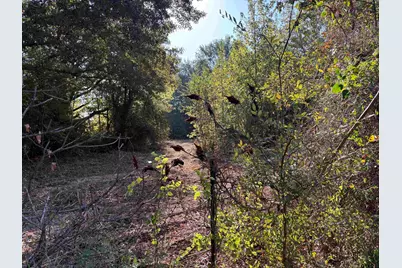 Tbd Fm 607, Brownsboro, TX 75756 - Photo 11