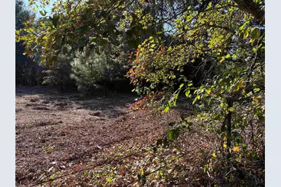 Tbd Fm 607, Brownsboro, TX 75756 - Photo 3