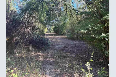 Tbd Fm 607, Brownsboro, TX 75756 - Photo 5