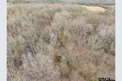 Tbd 24+ Acre Cr 3324, Pittsburg, TX 75686 - Photo 1