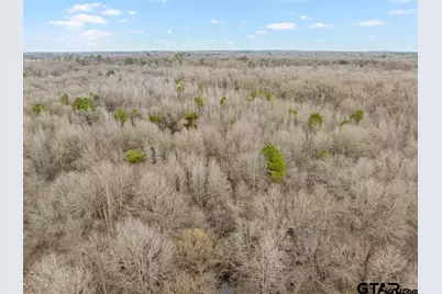 Tbd 24+ Acre Cr 3324, Pittsburg, TX 75686 - Photo 9