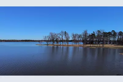 3176 Shadow Pine Dr, LaRue, TX 75770 - Photo 5