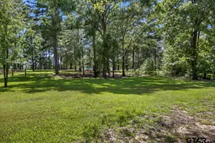 15811 S US Hwy 259, Mt Enterprise, TX 75681 - Photo 37