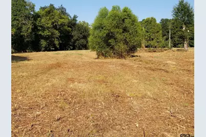 0000 S Hwy 69, Mineola, TX 75773 - Photo 17