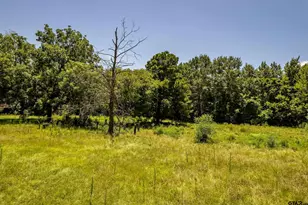 2780 Poppy Rd, Gilmer, TX 75644 - Photo 29