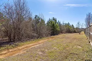 1820 Topaz Cove, Whitehouse, TX 75791 - Photo 31