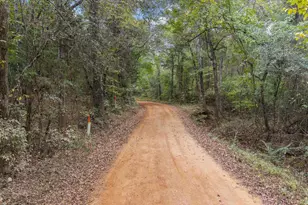 1703 Co Rd 3402, Bullard, TX 75757 - Photo 33