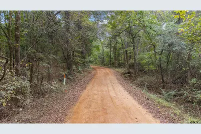 1703 County Road 3402, Bullard, TX 75757 - Photo 31