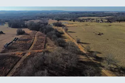 Tbd Fm 317, Murchison, TX 75778 - Photo 5