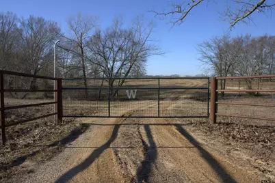 Tbd Fm 317, Murchison, TX 75778 - Photo 7