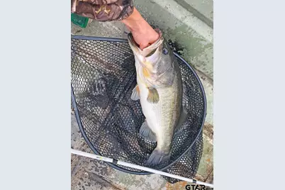 20616 E Grove Club Lake Rd, Whitehouse, TX 75791 - Photo 35