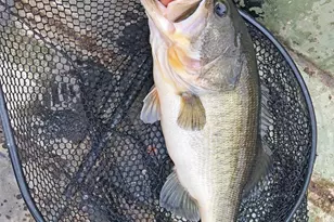 20616 E Grove Club Lake Rd, Whitehouse, TX 75791 - Photo 35