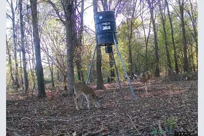 21746 Cr 2138, Troup, TX 75789 - Photo 7