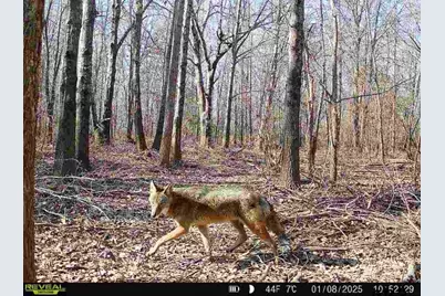 21746 Cr 2138, Troup, TX 75789 - Photo 9