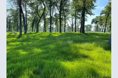 20621 Wycliff, Chandler, TX 75758 - Photo 9