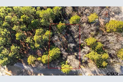 20722 Lakeview Dr., Flint, TX 75762 - Photo 5