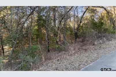 20722 Lakeview Dr., Flint, TX 75762 - Photo 11