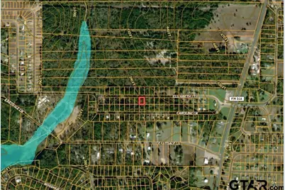 459 Caroline Ln, Bullard, TX 75757 - Photo 3