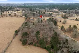 17581 Co Rd 4307, LaRue, TX 75770 - Photo 9