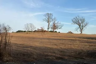 1223 Co Rd 1236, Quitman, TX 75783 - Photo 1