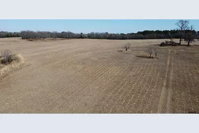 1223 County Road 1236, Quitman, TX 75783 - Photo 7