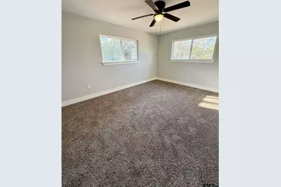 6258 Highway 37, Mineola, TX 75773 - Photo 15