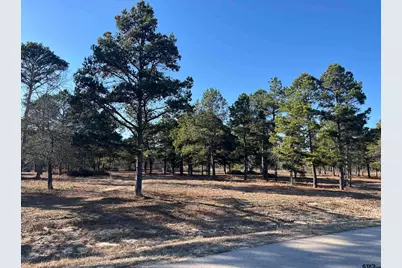 3135 Shadow Pine Drive, LaRue, TX 75770 - Photo 3