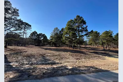 3135 Shadow Pine Drive, LaRue, TX 75770 - Photo 1